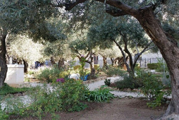 Mount of Olives