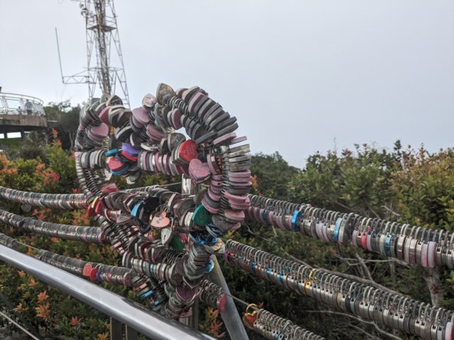 heartlocksalongtheskybridge.jpg
