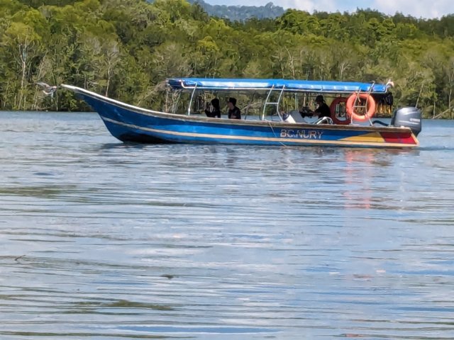 luxurycruiseship.jpg