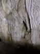 thebatcave_small.jpg