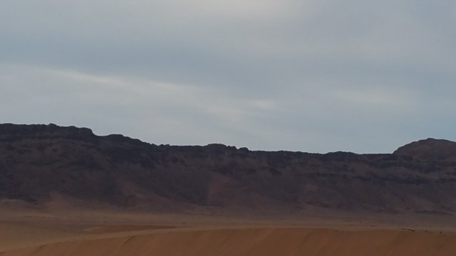 _080349.jpg