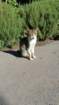 _103414_small.jpg
