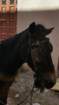 _104103_small.jpg