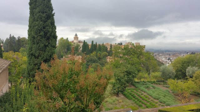 _110210.jpg