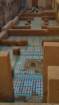 _110235_small.jpg