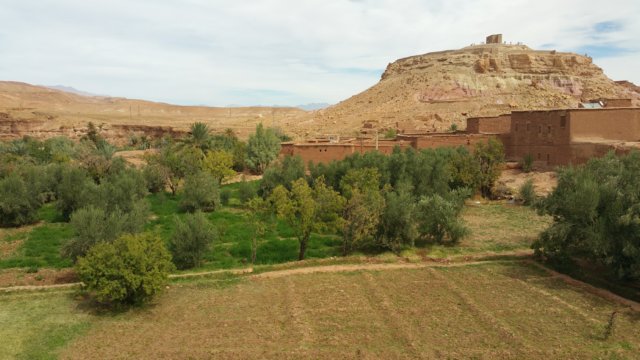 _132951.jpg