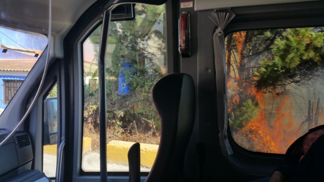 _142809.jpg