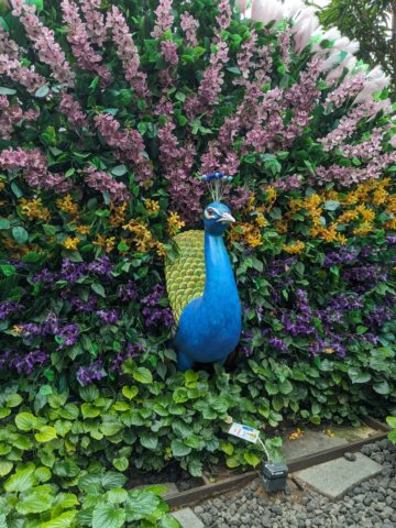 gardensattheairport.jpg