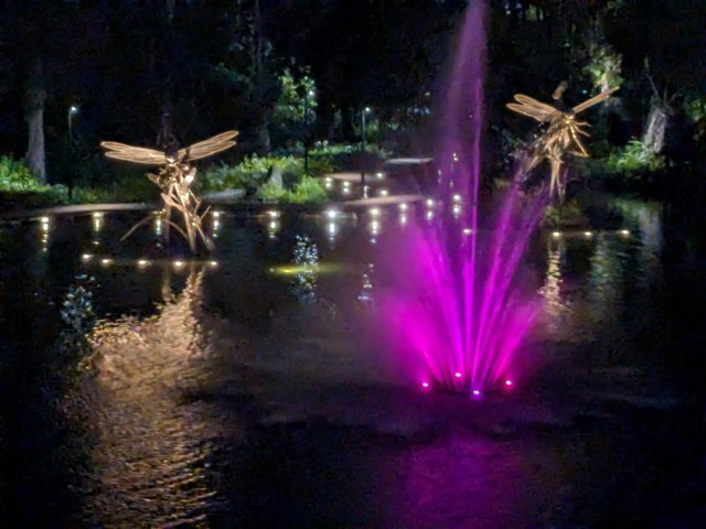 nightviewofthedragonflyfeature.jpg