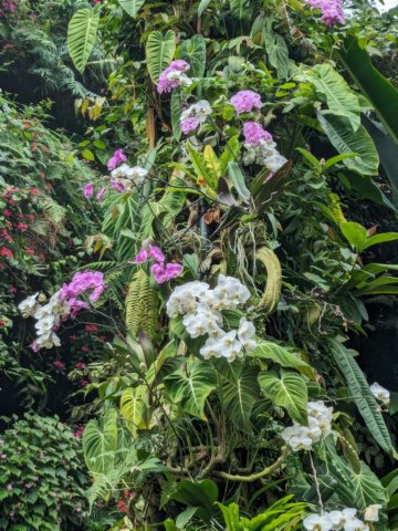 thebotanicalgreenhouse.jpg
