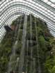 waterfallinthebotanicalgreenhouse_small.jpg
