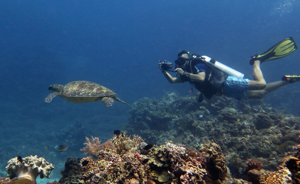 Fun Dives - Last Frontier Dive in Siquijor