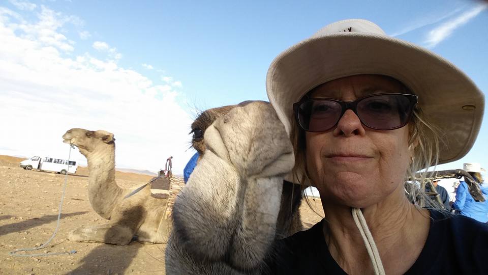kris camel