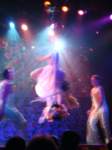 cruise1033_small.jpg