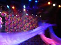 cruise1038_small.jpg