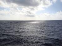 cruise103_small.jpg