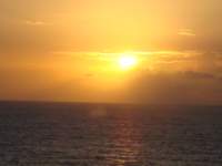 cruise142_small.jpg