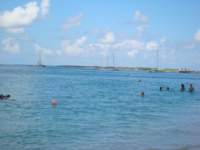 cruise172_small.jpg