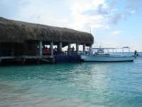 cruise176_small.jpg