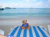 cruise181_small.jpg