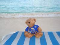 cruise182_small.jpg
