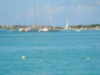 cruise187_small.jpg