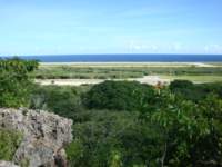cruise202_small.jpg