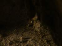 cruise214_small.jpg