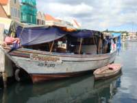cruise223_small.jpg