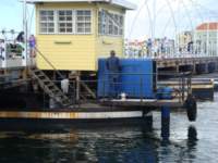 cruise239_small.jpg