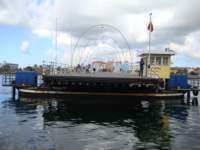 cruise241_small.jpg
