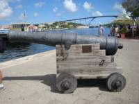cruise246_small.jpg