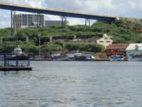 cruise256_small.jpg