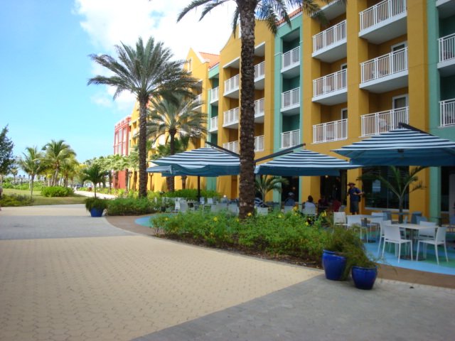 cruise266.jpg