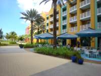 cruise266_small.jpg