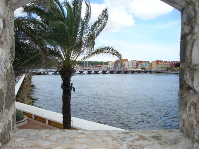 cruise268.jpg