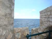 cruise271_small.jpg