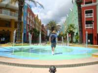 cruise274_small.jpg