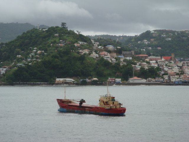 cruise330.jpg