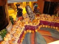 cruise333_small.jpg