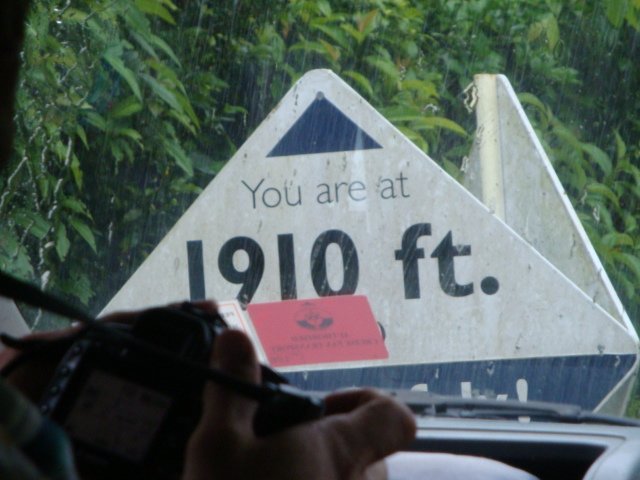 cruise369.jpg