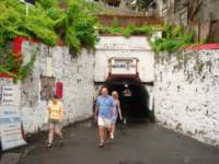 cruise376_small.jpg