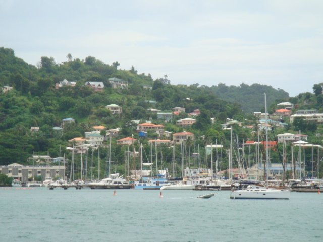 cruise382.jpg