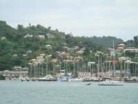 cruise382_small.jpg