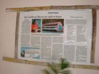cruise391_small.jpg