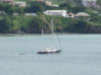 cruise399_small.jpg