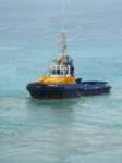 cruise409_small.jpg