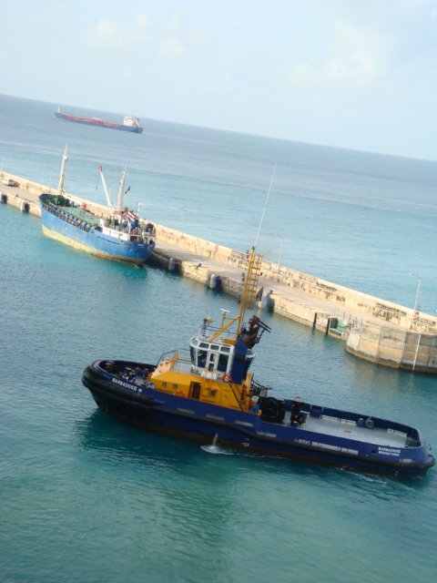 cruise410.jpg