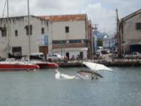 cruise415_small.jpg