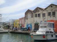 cruise417_small.jpg